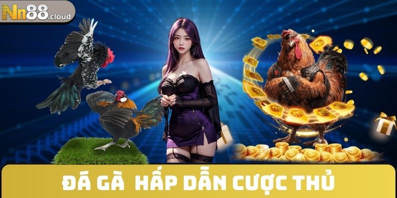 Đá gà hấp dẫn cược thủ